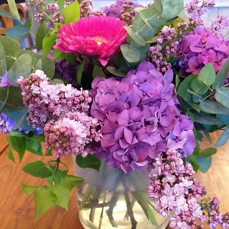 Cape Horn Bed & Breakfast Den Helder