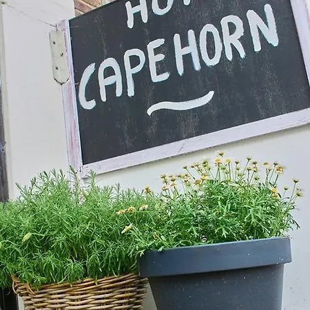 Bed & Breakfast Cape Horn Den Helder