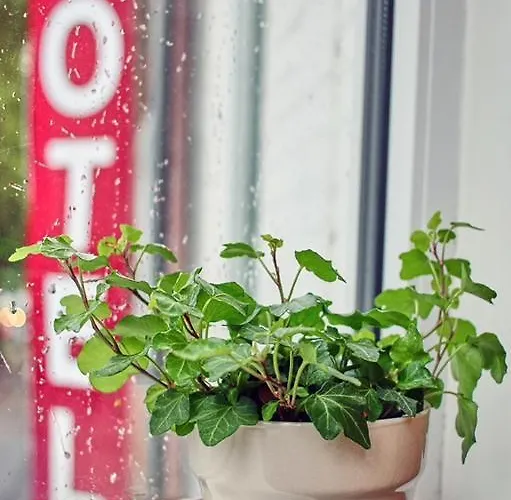 Cape Horn Отель типа 