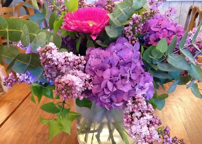 Cape Horn Отель типа 